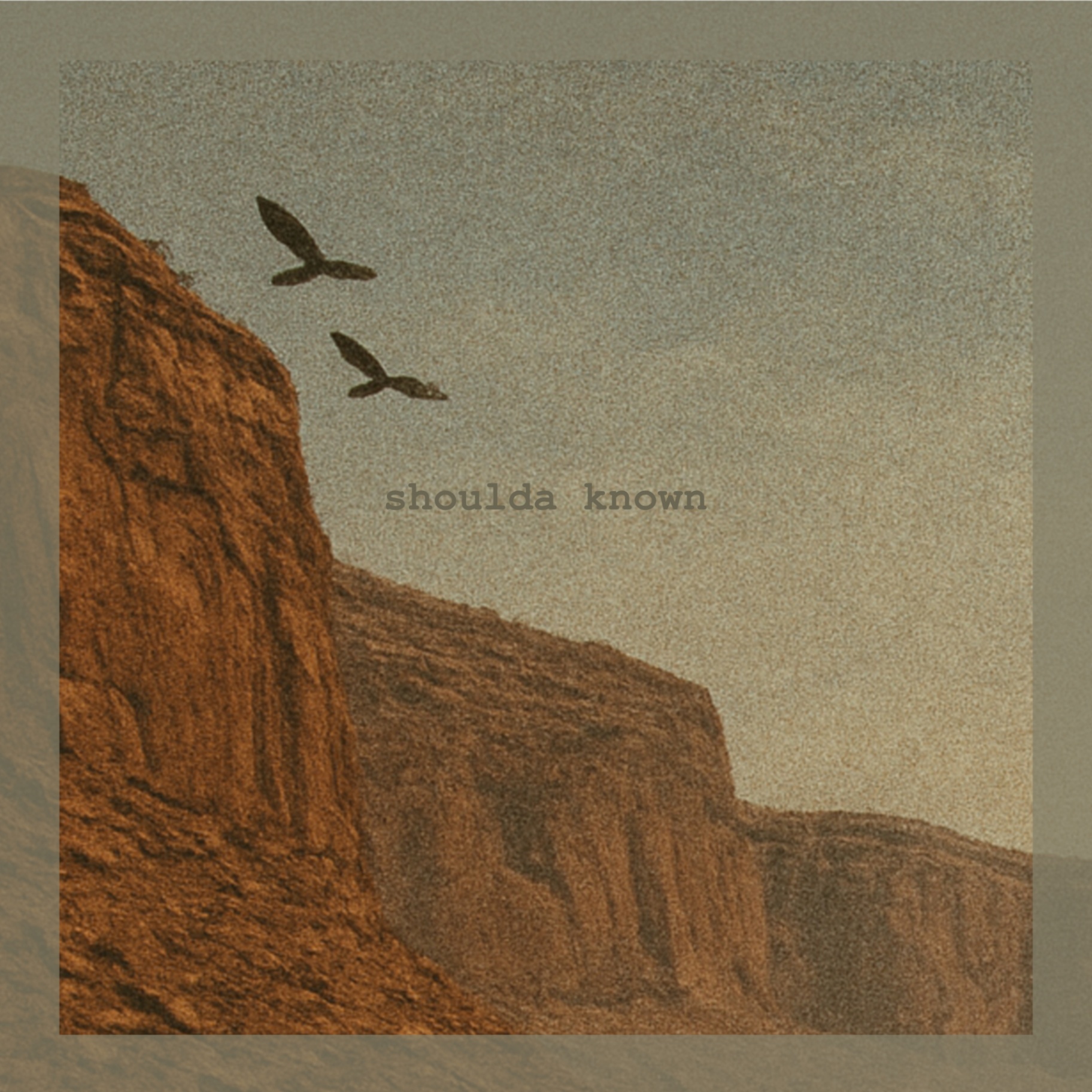 Shoulda Known — album art